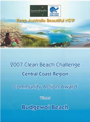 community action award
